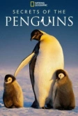 Секреты пингвинов (2025)