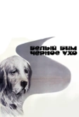Белый Бим Черное ухо (1976)